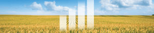 March_Feb_ET_2024_cover_image_2000x440px